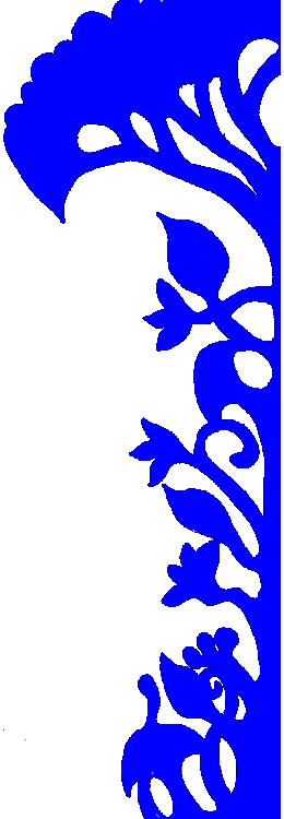Left Image